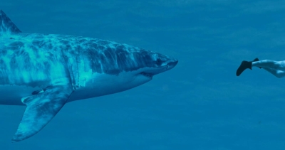 Skinnydippen in Mallorca? Sla dit jaar maar over!