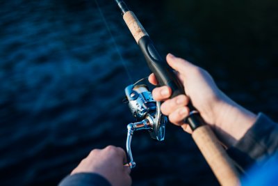 De allure van scopex boilies - een delicatesse voor karpervissers