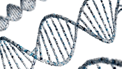 Het mannen-DNA dat na je zestigste begint te verdwijnen