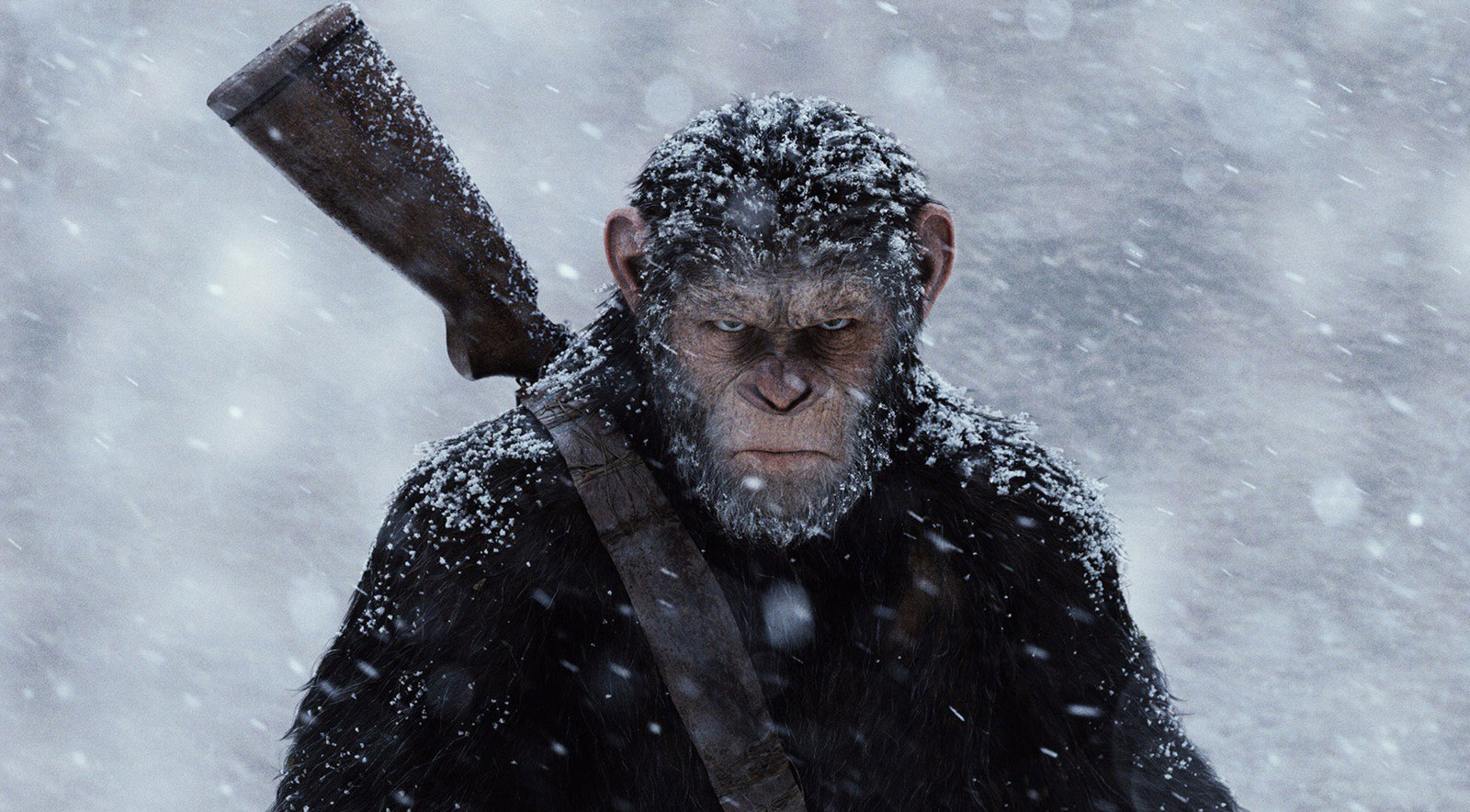 Win kaarten voor de kaskraker War for the Planet of the Apes!