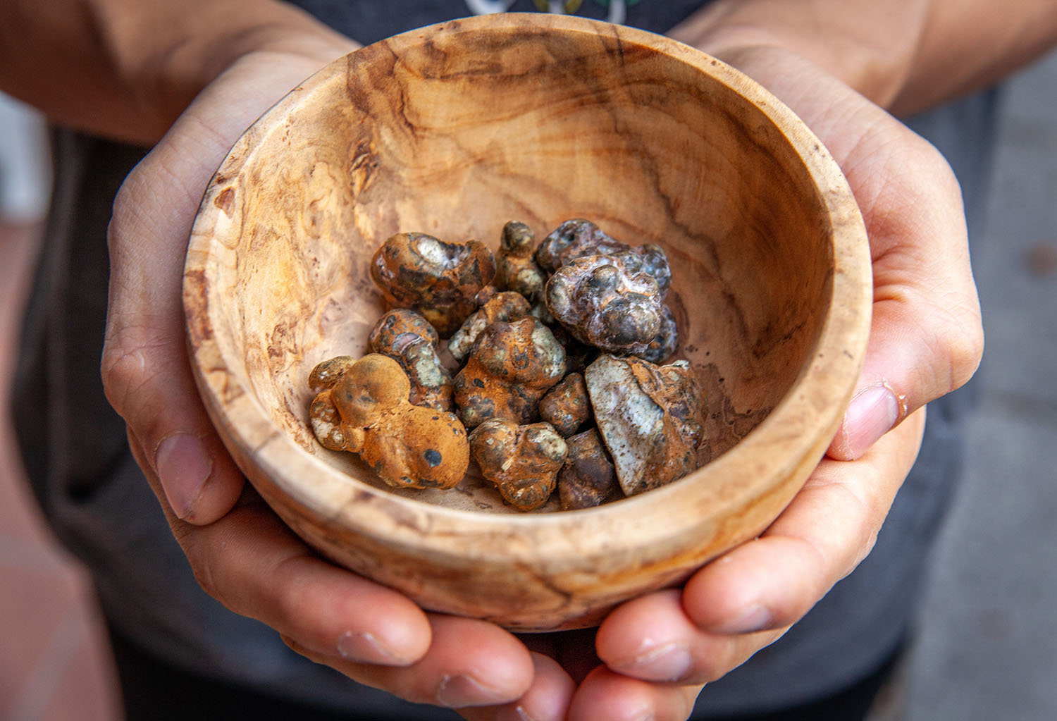 Magic truffels kopen voor therapie? Dit moet je weten